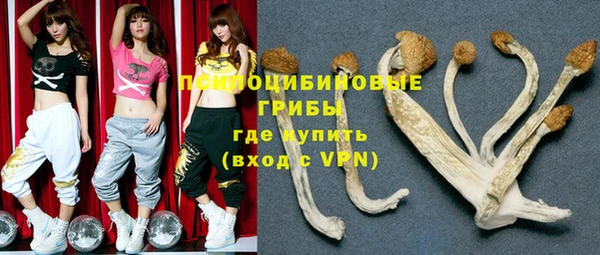 a pvp Пестово