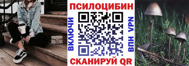 Галлюциногенные грибы мухоморы  hydra рабочий сайт  Торжок 