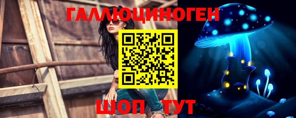 Псилоцибиновые грибы Cubensis Торжок
